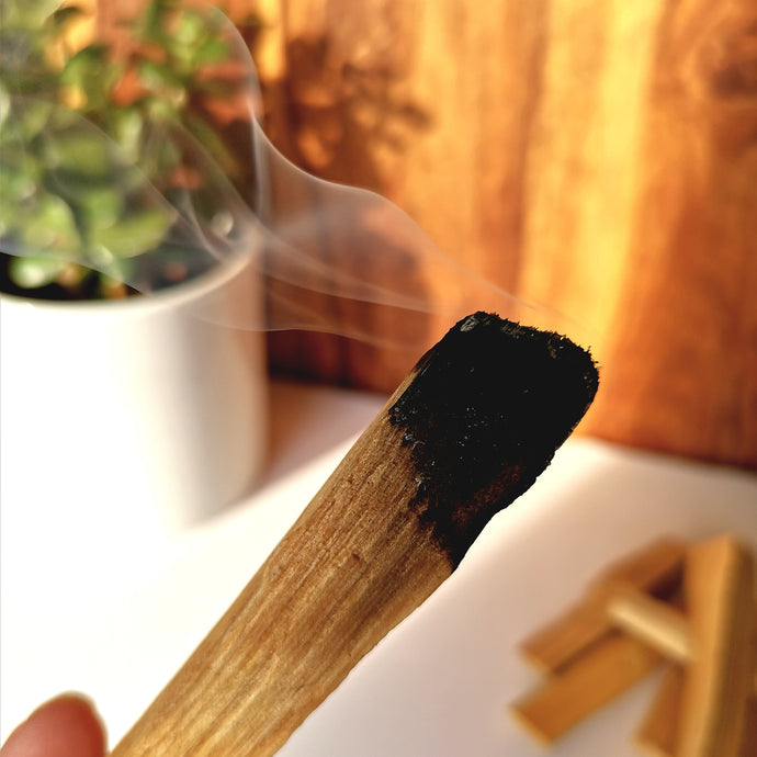 Purify your home, cleanse your energy and find calm with Palo Santo wood